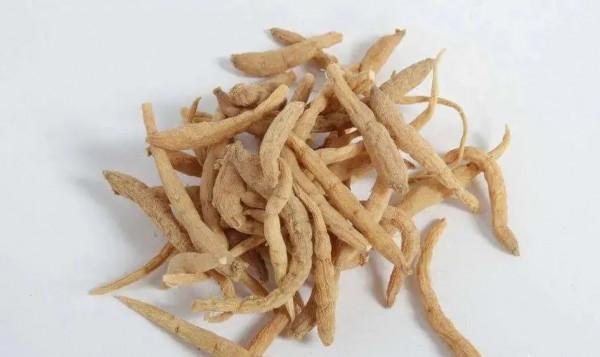 國醫大師孫光榮:中醫“入門九方” 國醫大師孫光榮:中醫“入門九方”