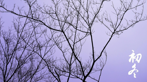 初冬寒色深,心有想兮,遂何心 初冬寒色深,心有想兮,遂何心