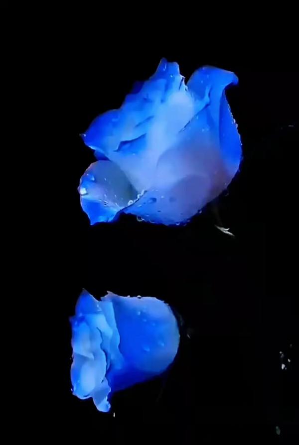 美景：尋“夏”的氣息，山花爛漫好景色