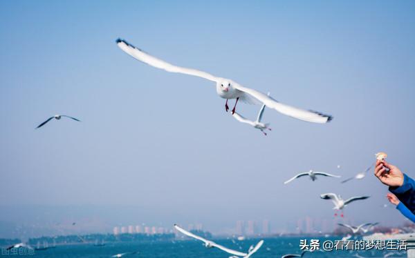 假如有人出錢讓你去雲貴川旅遊，只能去一個省，選哪個省？理由？