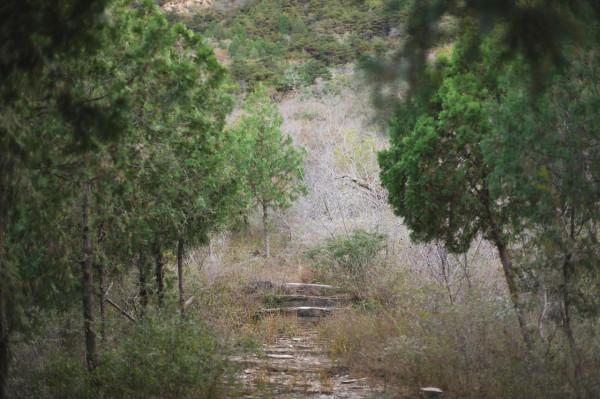 北京徒步登山:人少且免費的爬山步道,房山石花洞鳥語林風景區 北京徒步登山:人少且免費的爬山步道,房山石花洞鳥語林風景區