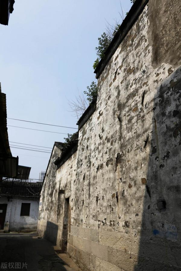 那一片山杏花 十三節（25）