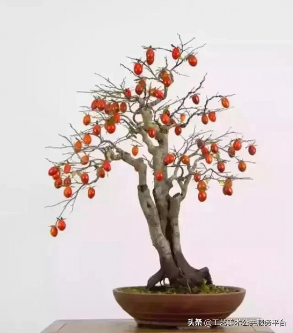 各類常見盆景,所代表的寓意 各類常見盆景,所代表的寓意