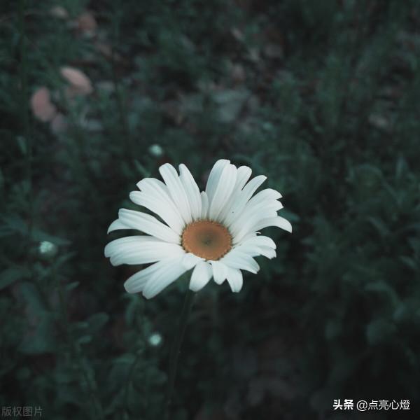 八大容易錯詞語讀音