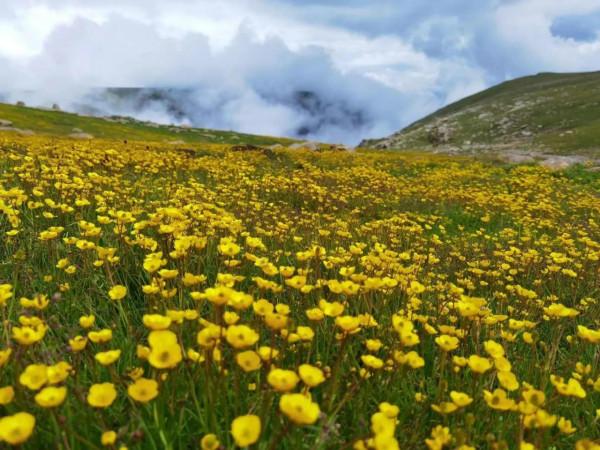 戶外獨行，一天徒步40-50公里的感受