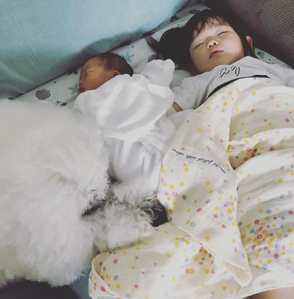 日本奶奶分享小孫女和三隻大狗狗的日常，治癒了56萬+網友…