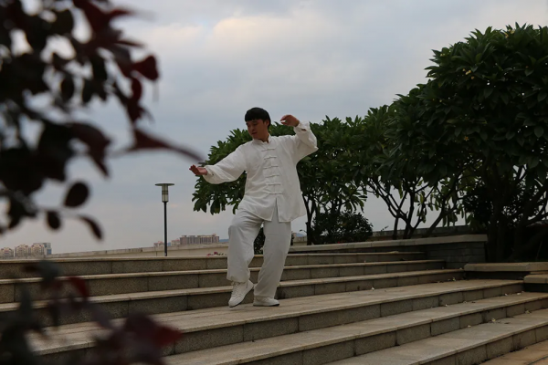 以24式太極拳為例，談太極拳重心轉換六個要點