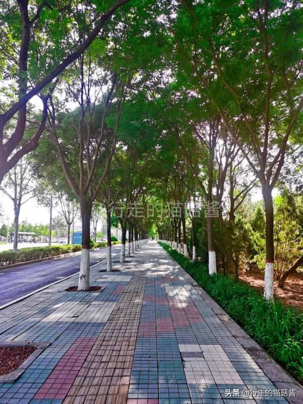 第一次去銀川，留給我的10個印象，完全不像西北城市