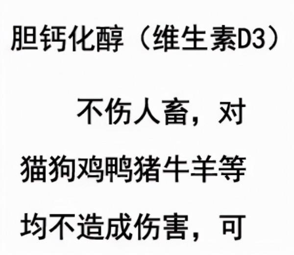 一起舉報滅鼠藥,膽鈣化醇對貓狗無毒但有害,少量攝入可能致命 一起舉報滅鼠藥,膽鈣化醇對貓狗無毒但有害,少量攝入可能致命