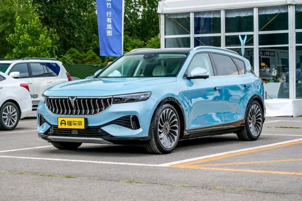 體驗嵐圖FREE，中大型SUV，配置不存在選裝，31.36萬元起售