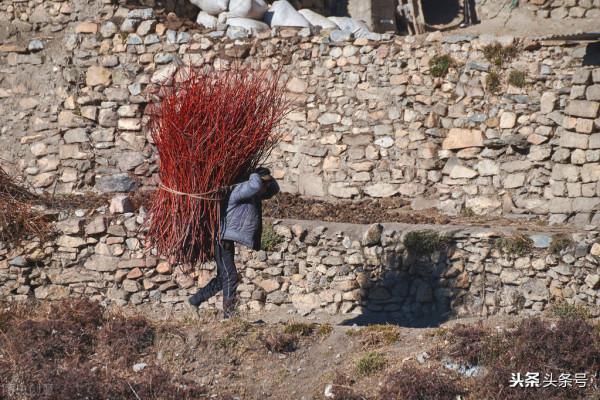 殘疾女孩被拋棄深山，三十年後她發財了，親生父母來尋親她這樣做