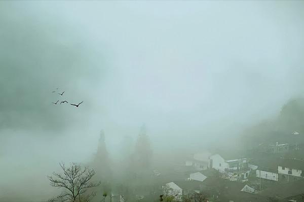 三國女諸葛：預言曹魏必亡，兩次拯救家族命運