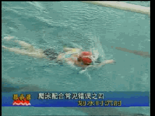 爬泳動作,五個頭部和手部最容易出現的常見錯誤問題 爬泳動作,五個頭部和手部最容易出現的常見錯誤問題