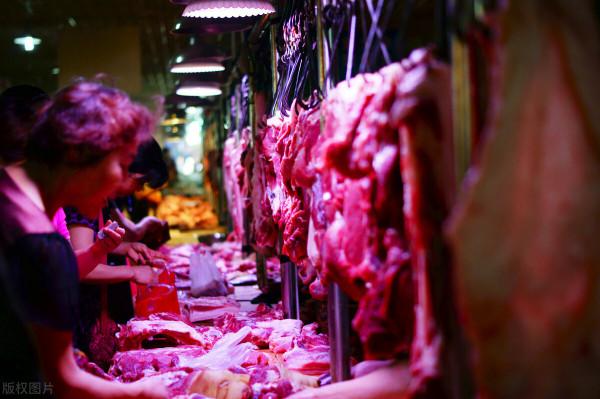 12月8日：豬價大漲“夢碎一地”，會“逼迫”養豬人再次入坑嗎？