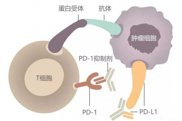 治病更省錢！18種抗腫瘤藥物新納入醫保，價格大幅降低