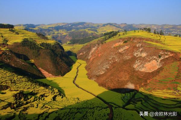 羅平馬街，一個把田地種成了風景畫的地方，山區賞花正當時哦