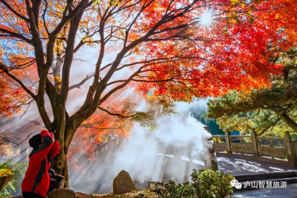 一聲梧葉一聲秋，廬山開啟七彩秋色模式