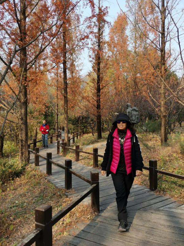 北京，植物園的秋天（秋景）