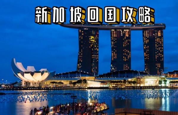 新加坡回國攻略