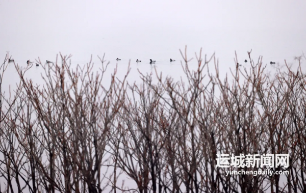 影像｜霧漫鹽湖似水墨