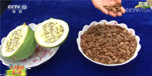 走進鄉村看小康 走進鄉村看小康