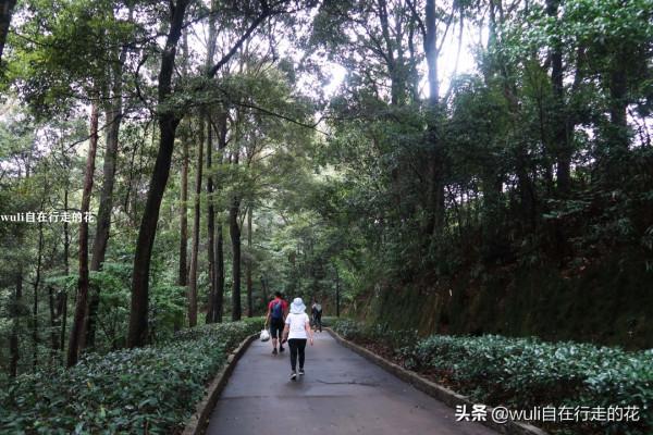 這個秋天,繼續闖蕩福州鼓山,用腳步丈量她的美 | 第63條徒步路線 這個秋天,繼續闖蕩福州鼓山,用腳步丈量她的美 | 第63條徒步路線
