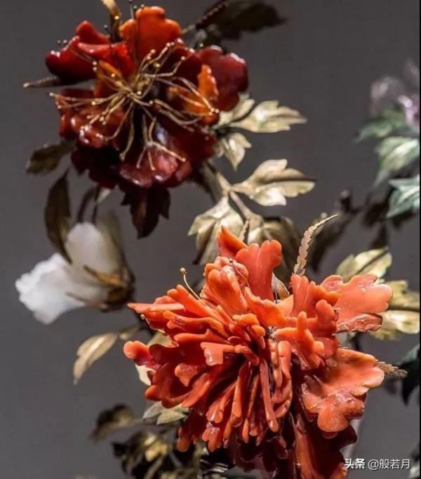 這些盆栽要是家裡能有一盆，賊有面子