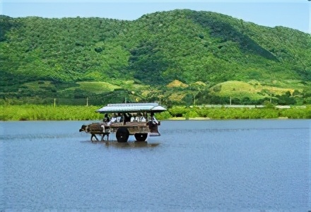 沖繩要獨立，美軍滾出去！沖繩街頭大興遊行，日本政府如何應對？