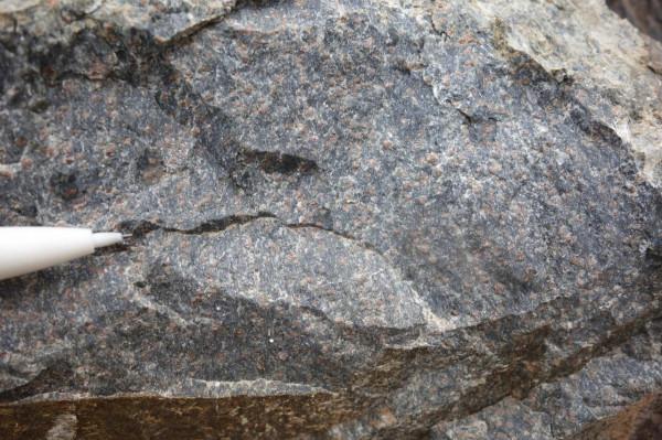 石頭居然長“痘痘”啦