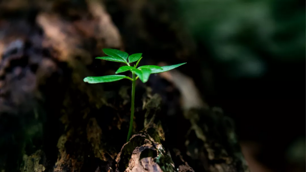 人生匆忙,不必慌張 人生匆忙,不必慌張
