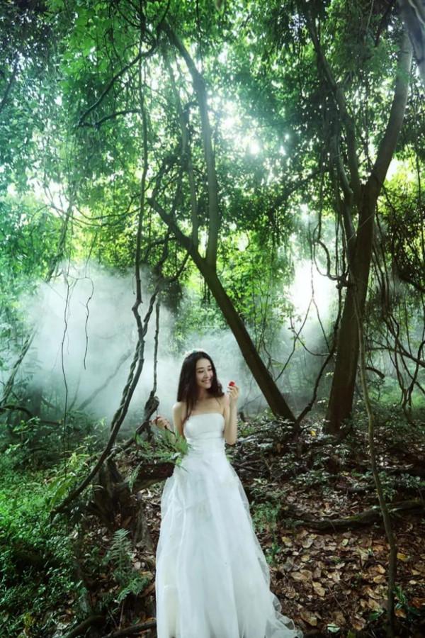 浪漫果和“女巫”的故事：走不出那片雨林