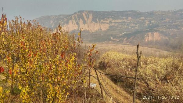 尋訪穆柯寨古遺址 尋訪穆柯寨古遺址