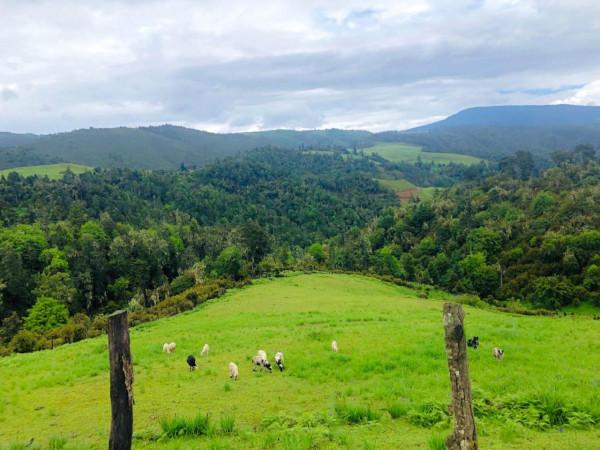 麗江小眾秘境指南｜林那谷：徒步、觀星、賞花新地標