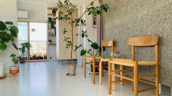 小夫妻買30㎡，撲滅小戶型居住難題：全屋不見牆，卻有9大功能區