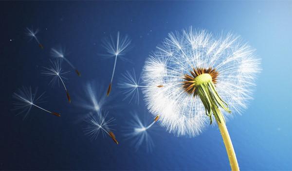 脾氣好但不是&OpenCurlyDoubleQuote;軟柿子&rdquo;的星座，別把他們的善良當作好欺負