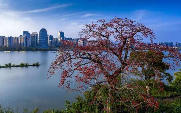 關於房子的事情 關於房子的事情