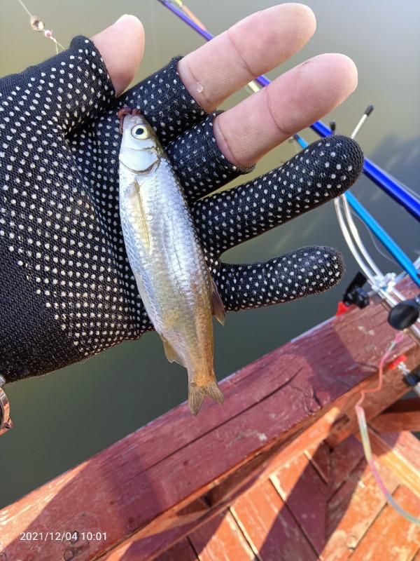 天氣越好魚口越不好，你贊意這個的觀點嘛，歡迎大師留言