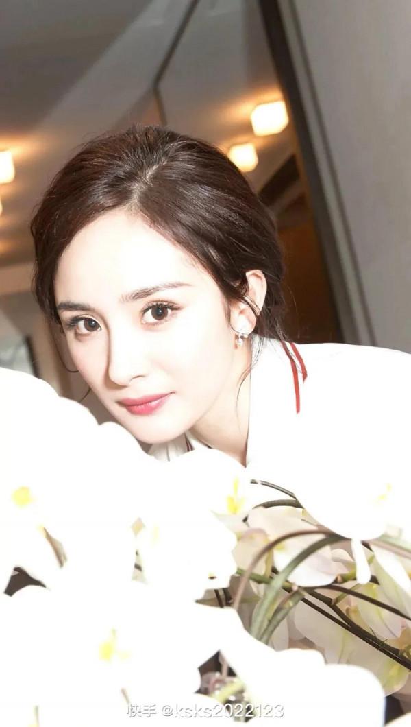 女星集圖：楊冪