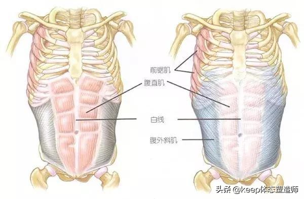 燃燒腹部脂肪，別隻想著做卷腹，這幾式瑜伽動作的效果也超棒