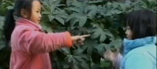 女兒為何不是親生的 用7年時間找尋一個答案