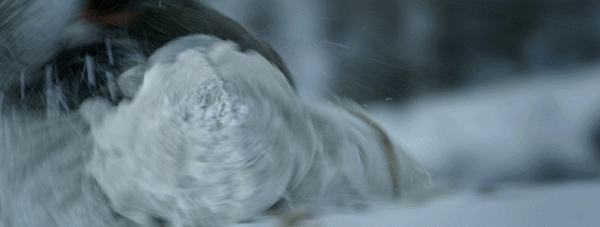 8部大片定檔春節,張藝謀徐克主旋律驚豔,易烊千璽成最大贏家 8部大片定檔春節,張藝謀徐克主旋律驚豔,易烊千璽成最大贏家