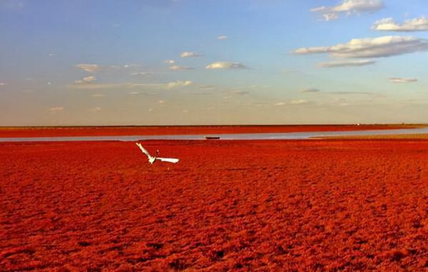 冬天國內風景絕美的自駕遊好去處推薦 冬天國內風景絕美的自駕遊好去處推薦