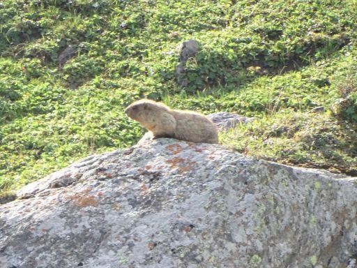 新疆徒步穿越烏蘇古道第二天翻越包紮敦達板