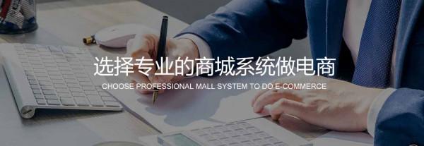 企業/個人開發商城系統該如何選擇? 企業/個人開發商城系統該如何選擇?