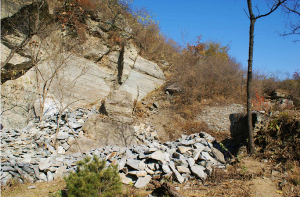 “文化碑林 綠色生態”——首都綠色文化碑林建設歷程回顧 “文化碑林 綠色生態”——首都綠色文化碑林建設歷程回顧