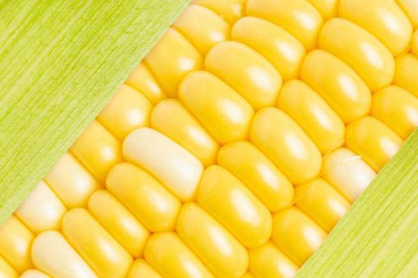 女生白頭髮增多,不要總覺得老了,或是由於體內缺乏這3種營養 女生白頭髮增多,不要總覺得老了,或是由於體內缺乏這3種營養