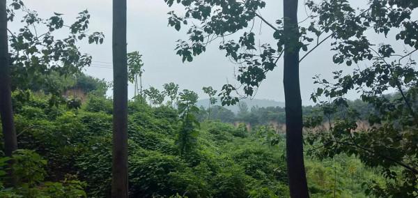 老李的朋友圈（短篇小說）