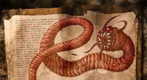 荒灘戈壁的“死亡之蟲” 荒灘戈壁的“死亡之蟲”