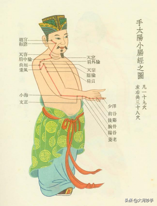中醫精美3D經絡圖，手太陽小腸經，大河養生古法八段錦必備