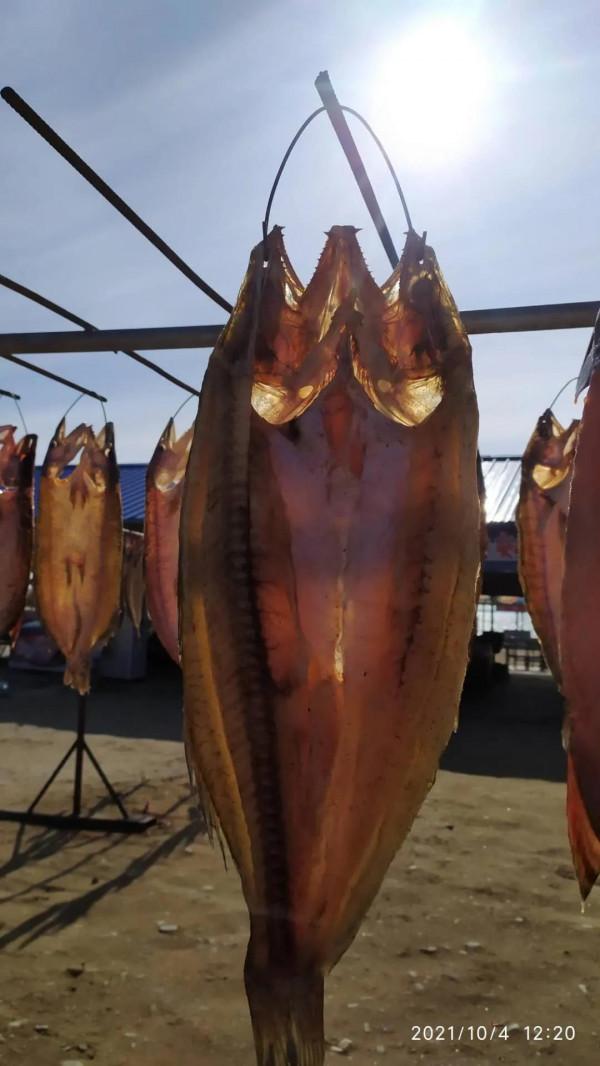 烏倫古湖邊撿到心儀的戈壁玉